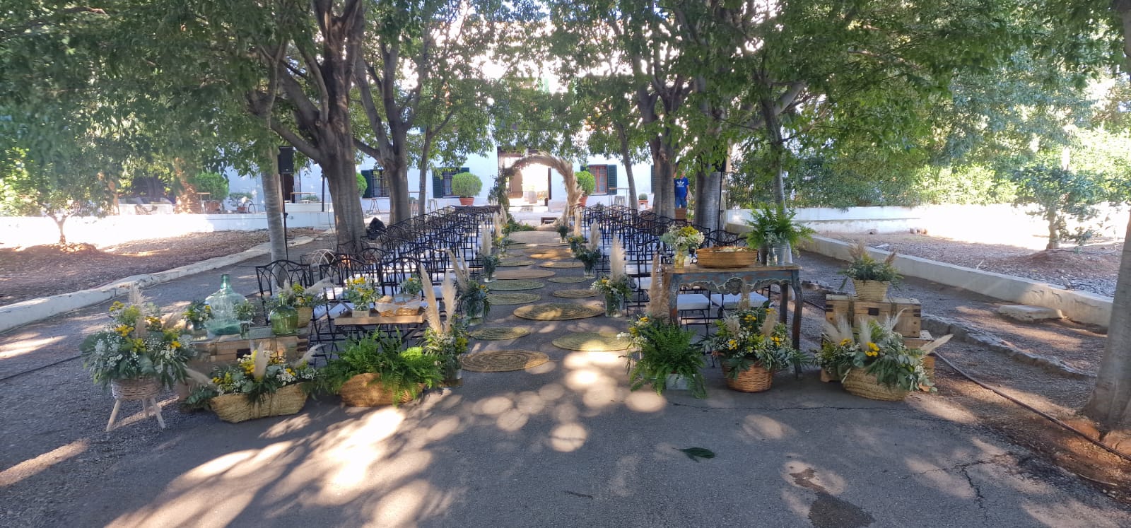 Floristería en Alzira
